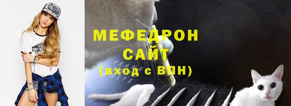 МДПВ Бородино
