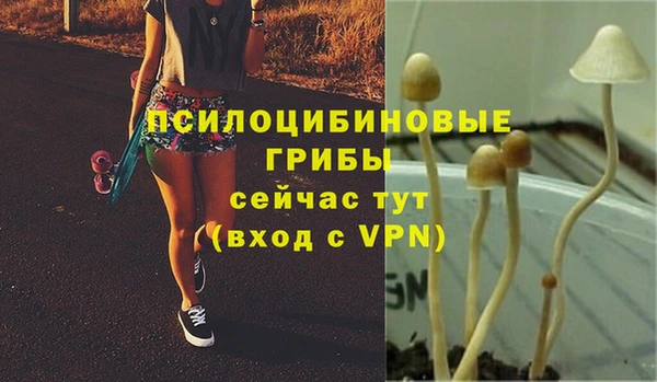 мяу мяу кристалл Верхний Тагил