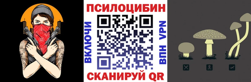 Псилоцибиновые грибы прущие грибы  Вичуга 