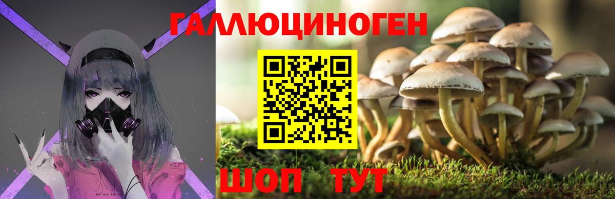 Псилоцибиновые грибы MAGIC MUSHROOMS Вичуга