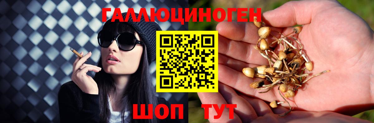 Псилоцибиновые грибы Cubensis  Галлюциногенные грибы Magic Shrooms  Вход с VPN  Вичуга 
